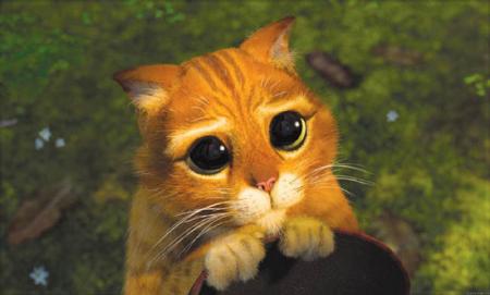 ne me suppliait pas �a ne marchera jamais